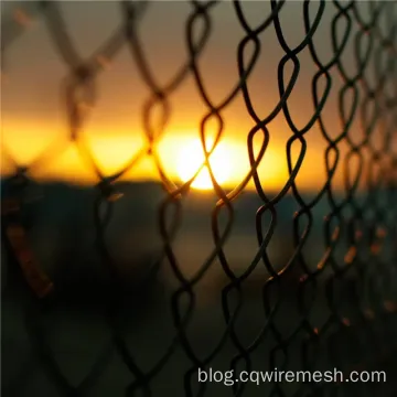 PVC Coated Chain Link Fence